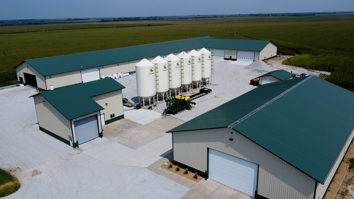 M1 Boeck Seeds M1 Boeck Seeds